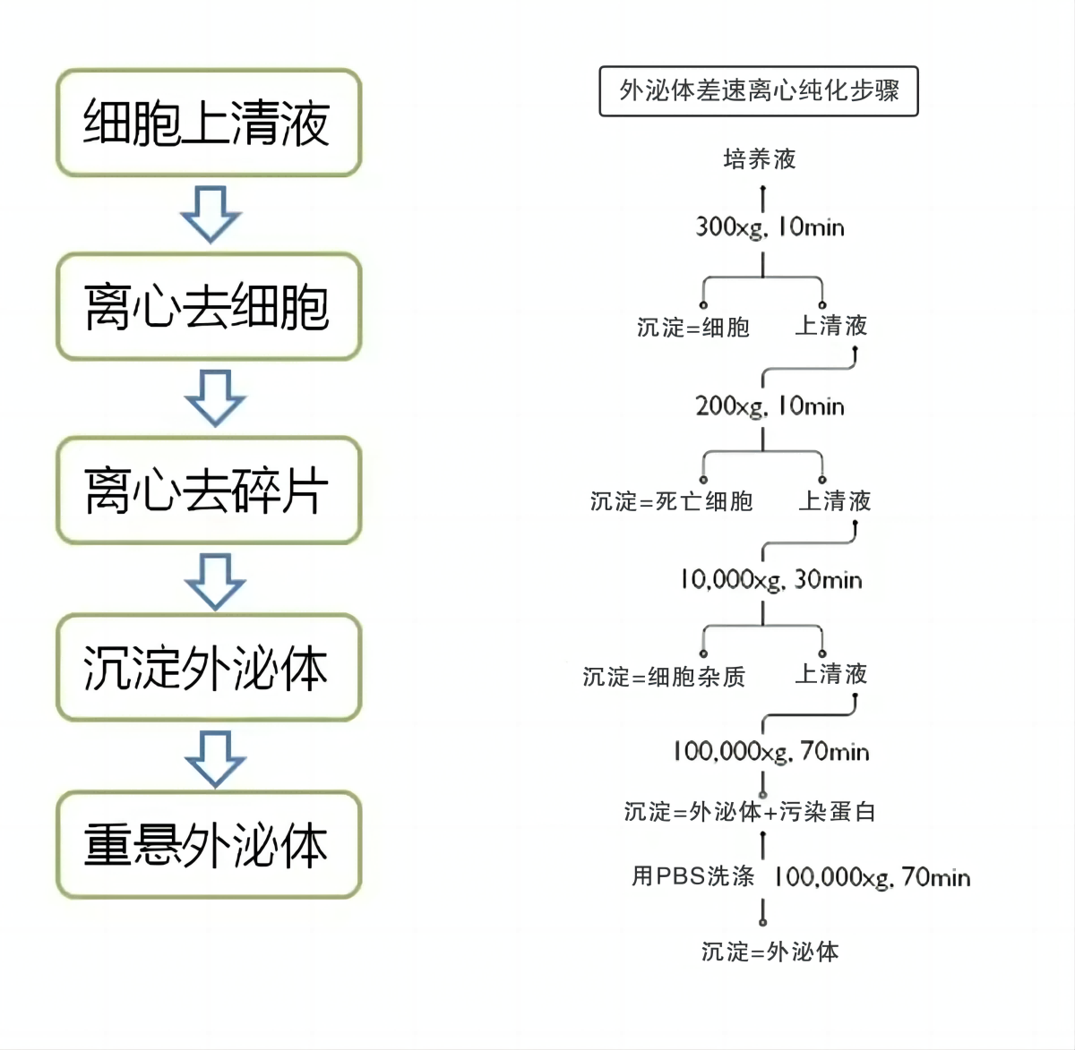 尊龙凯时【官方网站】人生就是搏!